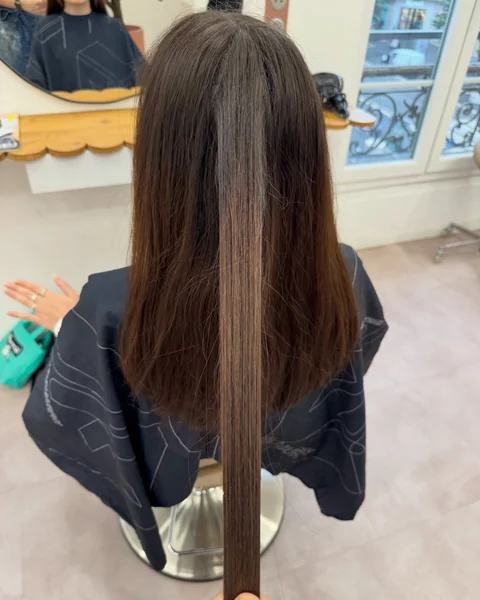 Cheveux bruns, avant le balayage